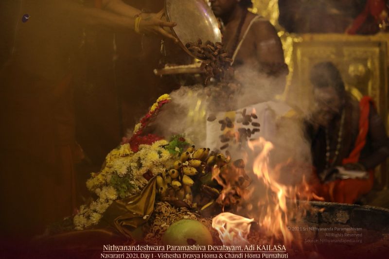 File:20211010 1164 243508095 FB.jpg