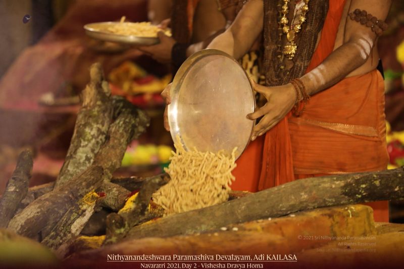 File:20211010 1247 245109121 FB.jpg