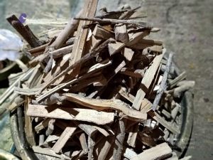 2021101111.45.03 AM.jpg