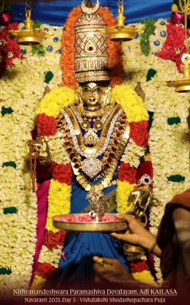 File:20211011 1025 245172660 FB.jpg