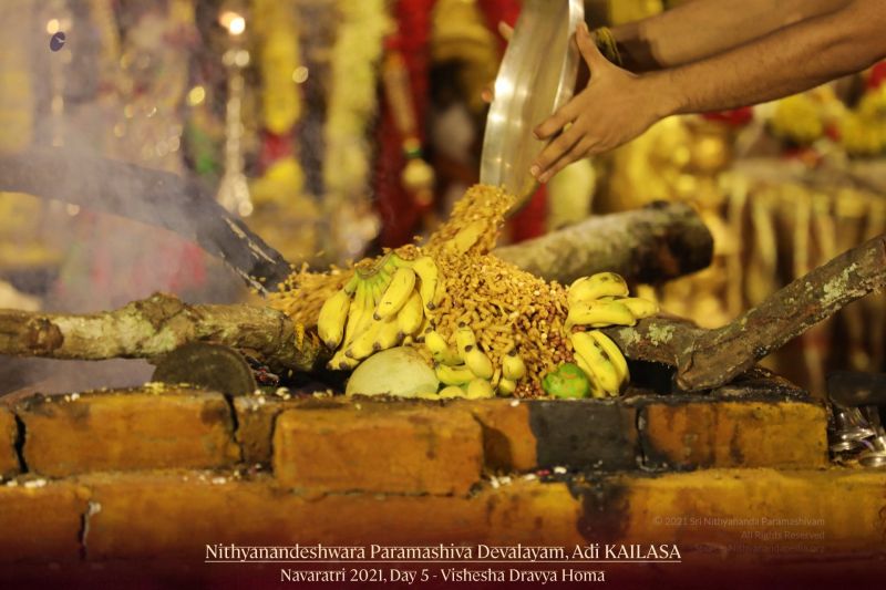 File:20211011 1040 245179010 FB.jpg