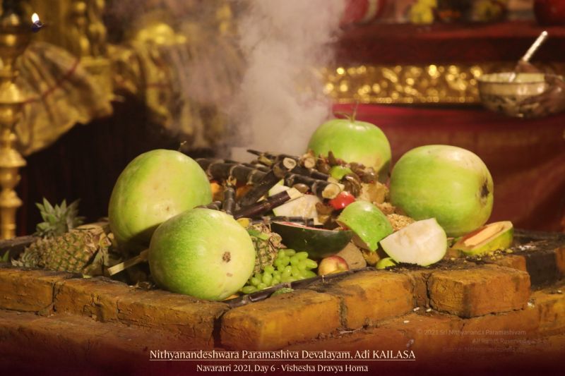 File:20211012 1074 245635176 FB.jpg