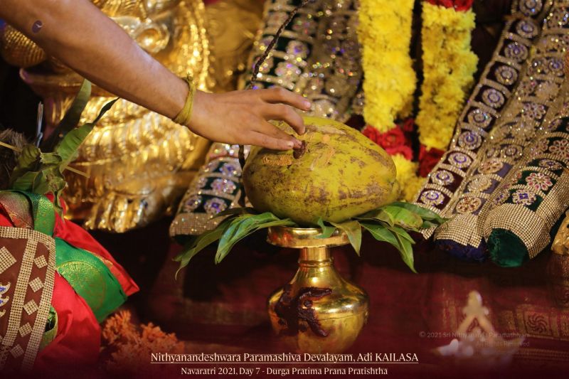 File:20211013 1057 245036438 FB.jpg