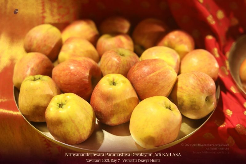 File:20211013 1108 244642293 FB.jpg