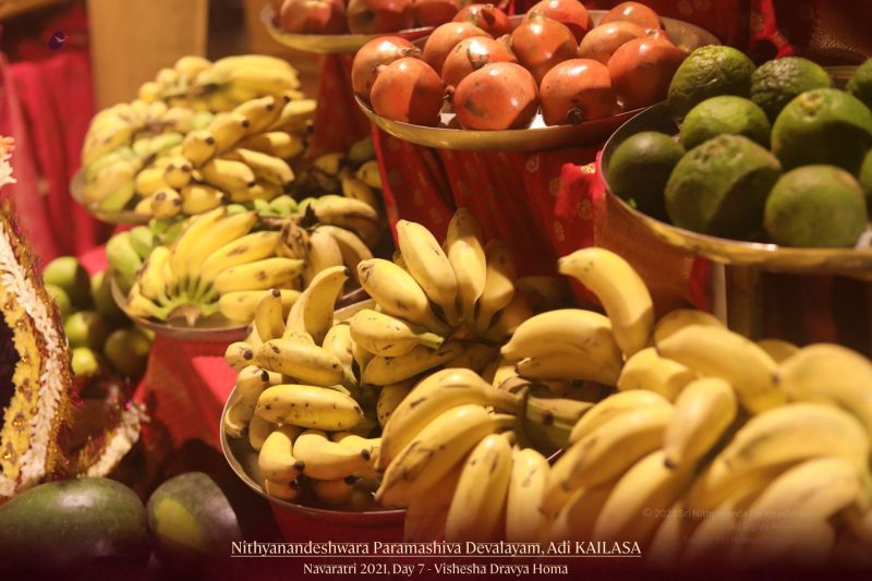 File:20211013 1118 245232631 FB.jpg