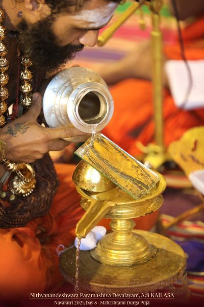 File:20211014 1038 245862867 FB.jpg