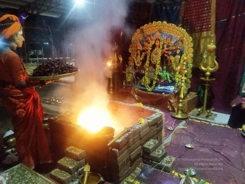 File:20211014 11.05.49 AM (1).jpg