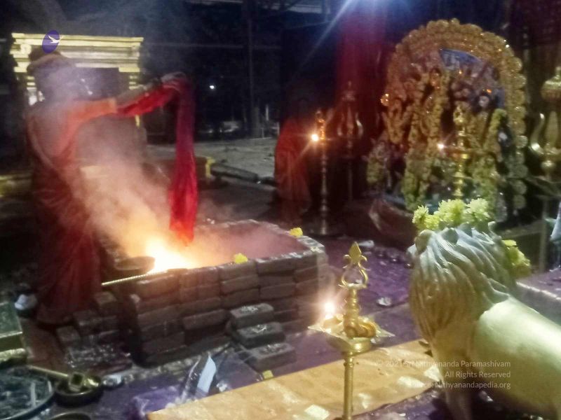 File:20211014 11.05.52 AM.jpg