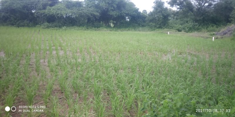 File:20211018 6.16.22 PM.jpeg