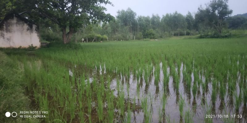 File:20211018 6.16.24 PM.jpeg