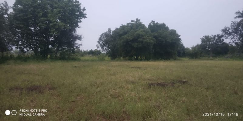 File:20211018 6.16.37 PM.jpeg