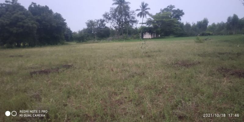 File:20211018 6.16.41 PM.jpeg