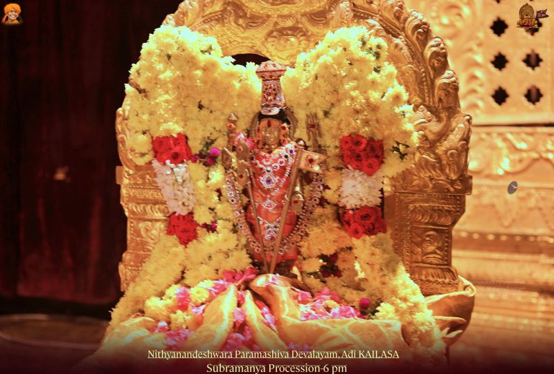 File:20211108 1029 255129688 FB.jpg