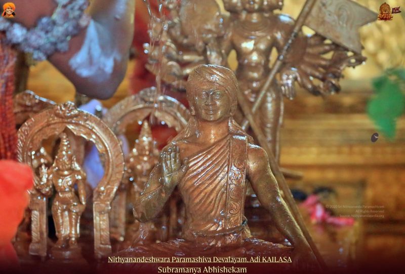 File:20211108 1246 254821294 FB.jpg