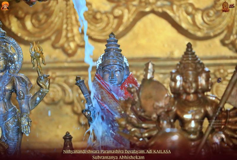 File:20211108 1275 255383802 FB.jpg