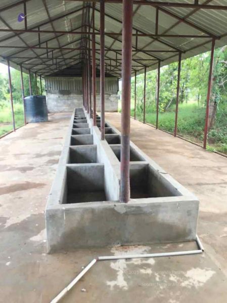 File:20211113 kacharapattu 1.jpg