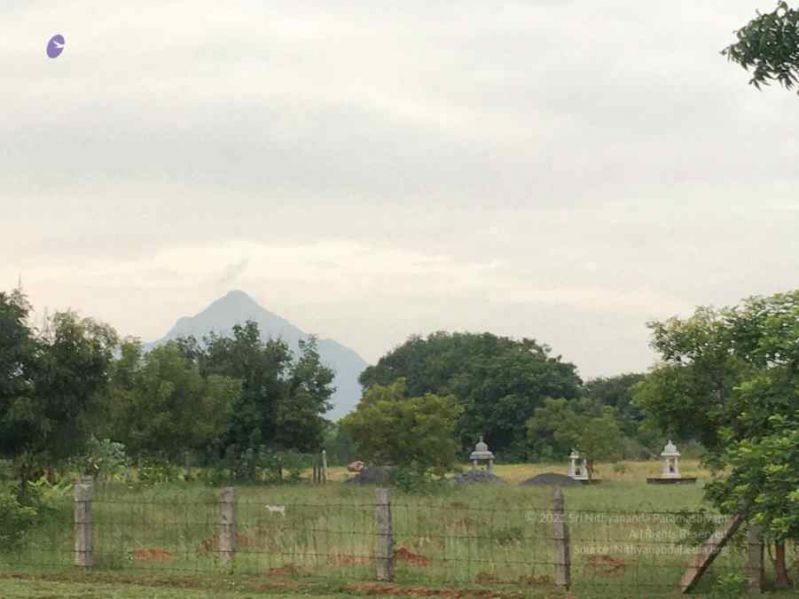 File:20211113 kacharapattu 8746.jpg