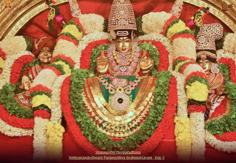 File:20211114 1130 250959063 FB.jpg