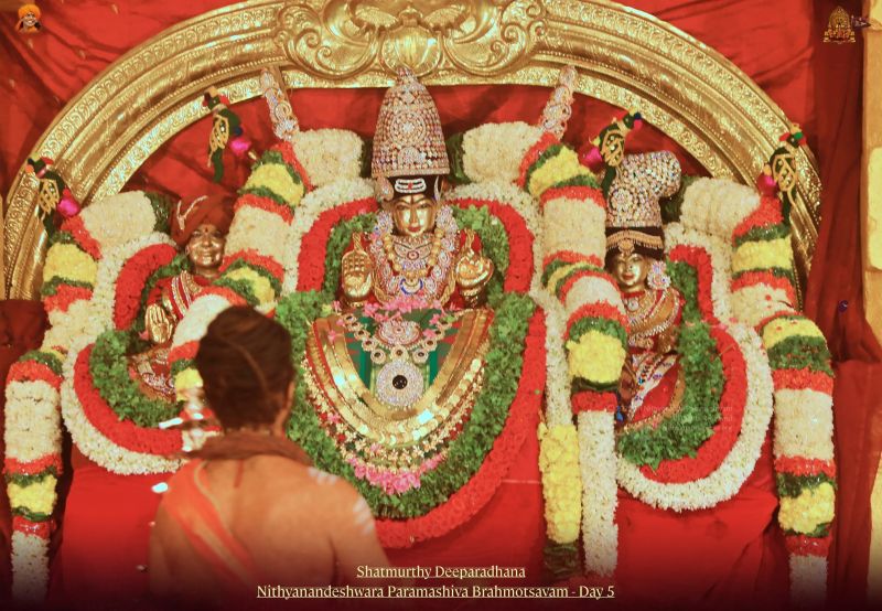 File:20211114 1135 255029911 FB.jpg