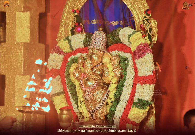 File:20211114 1137 256006914 FB.jpg