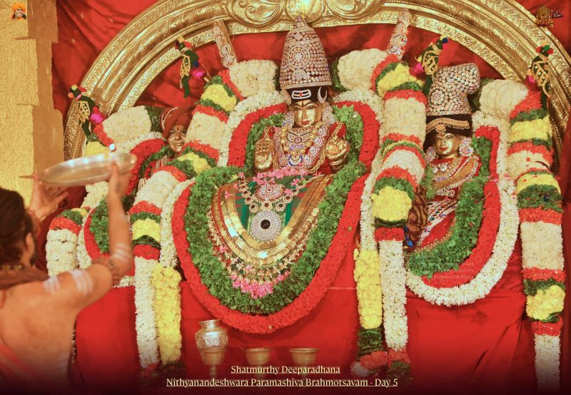 File:20211114 1138 241449979 FB.jpg