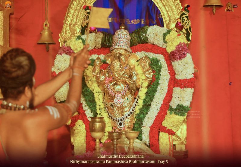 File:20211114 1145 256720135 FB.jpg