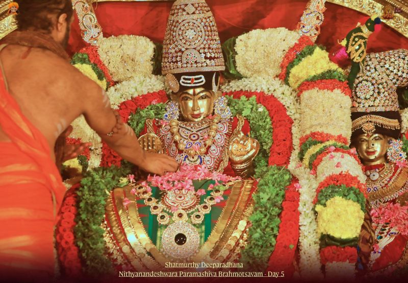 File:20211114 1150 256737306 FB.jpg