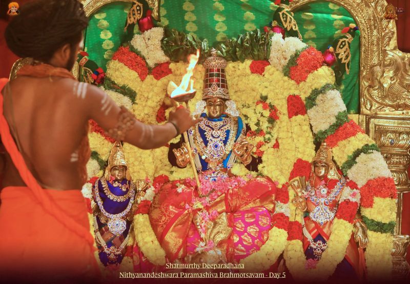 File:20211114 1158 256599268 FB.jpg