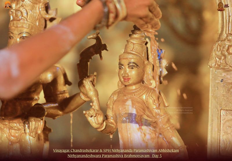 File:20211114 1170 254288193 FB.jpg