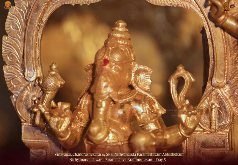 File:20211114 1172 255003498 FB.jpg