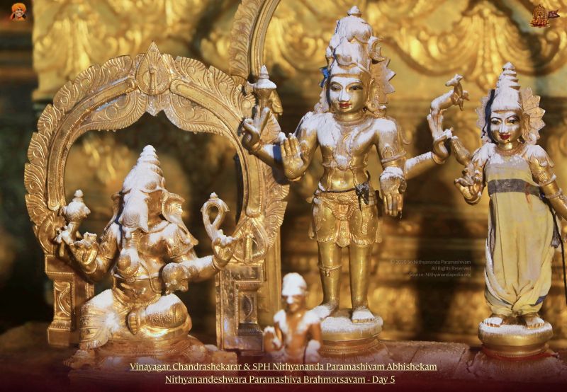 File:20211114 1186 256046838 FB.jpg