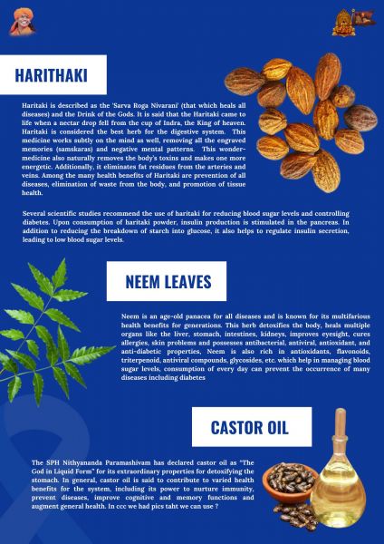 File:20211114 1281 257124601 FB.jpg