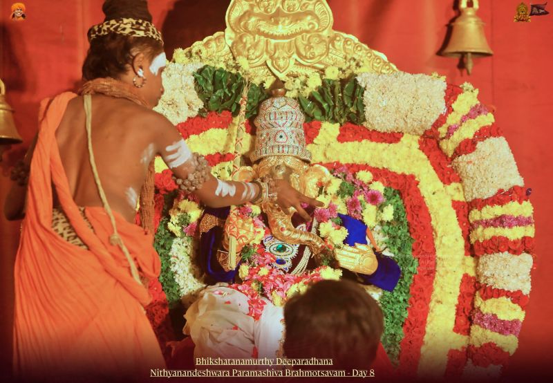 File:20211117 1034 258490309 FB.jpg