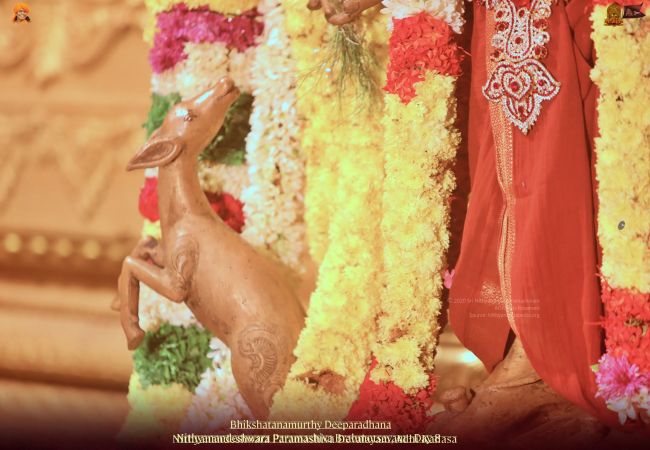 20211117 1114 258782332 FB.jpg