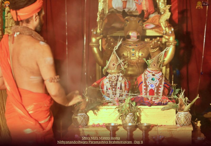 File:20211117 1183 258414012 FB.jpg