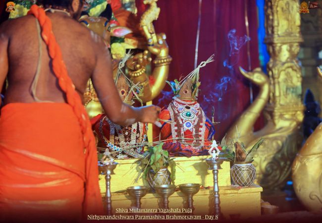 20211117 1189 258414124 FB.jpg