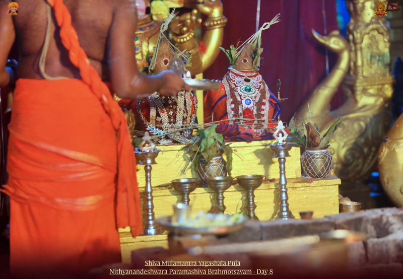 File:20211117 1190 257955659 FB.jpg