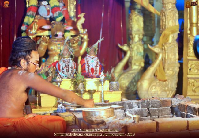 20211117 1192 258343298 FB.jpg