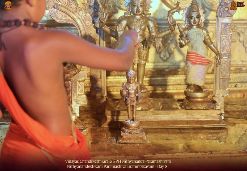 File:20211117 1204 258266815 FB.jpg