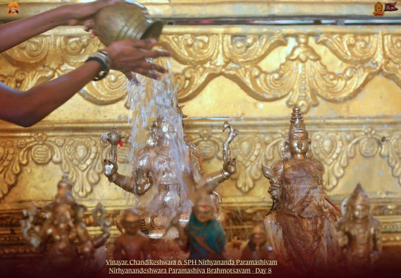 File:20211117 1207 258342691 FB.jpg