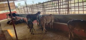 20211117 1306 256279978 FB.jpg