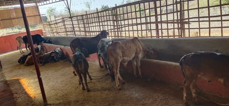 File:20211117 1306 256279978 FB.jpg