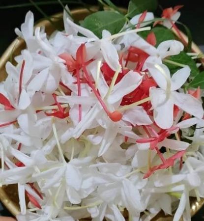 20211117 1308 255961365 FB.jpg