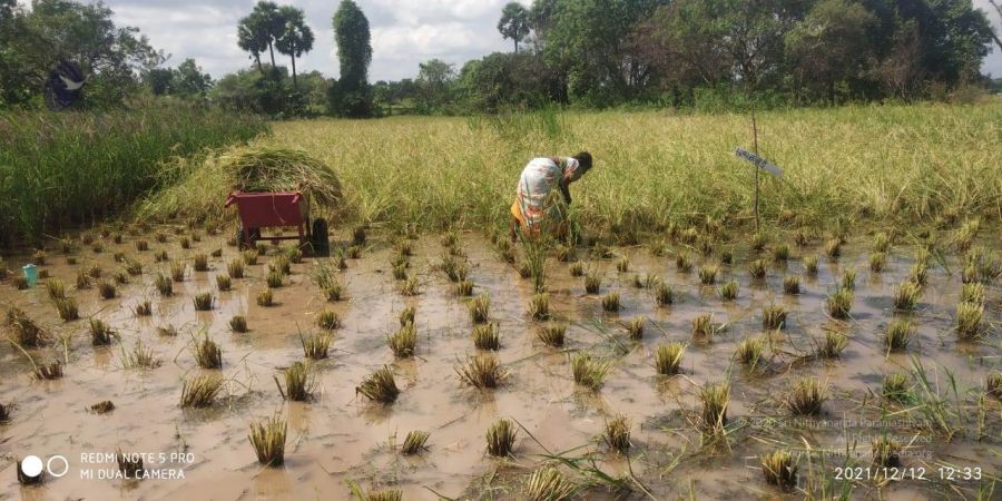 20211206 WhatsApp Image 2021-12-12 at 2.43.53 PM (1) 11.jpg