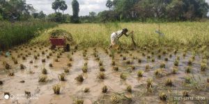 20211206 WhatsApp Image 2021-12-12 at 2.43.53 PM 11.jpg