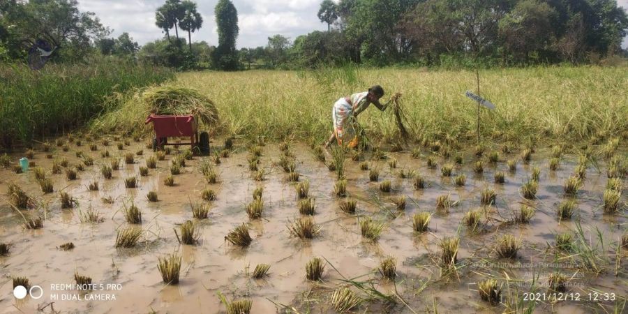 20211206 WhatsApp Image 2021-12-12 at 2.43.53 PM 11.jpg