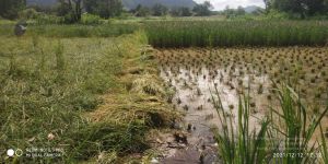 20211206 WhatsApp Image 2021-12-12 at 2.43.55 PM 11.jpg