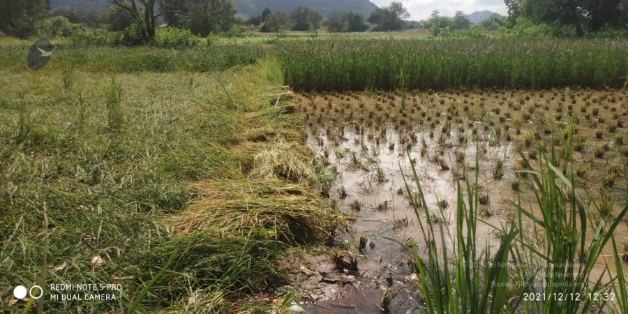 20211206 WhatsApp Image 2021-12-12 at 2.43.55 PM 11.jpg