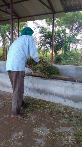 File:20211206 WhatsApp Image 2021-12-12 at 3.27.48 PM 11.jpg