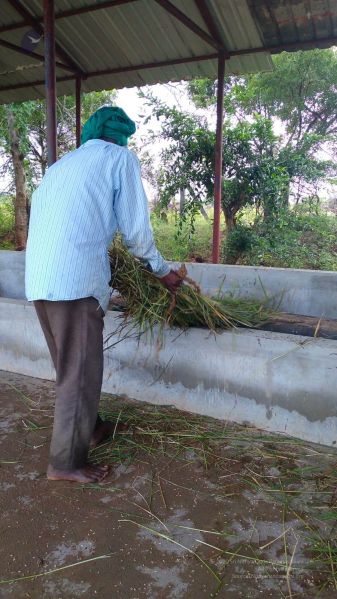 File:20211206 WhatsApp Image 2021-12-12 at 3.27.49 PM 11.jpg